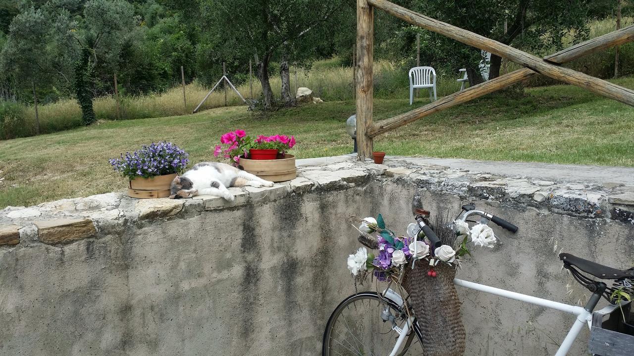 B&B Le Torri Di Firenze Fiesole Exterior photo